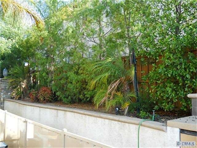 side yard in back