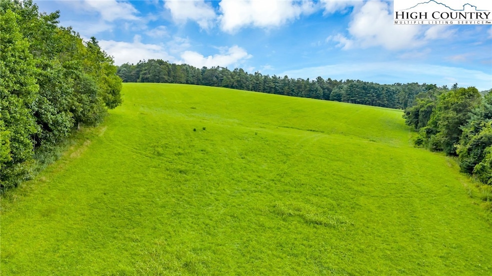 TBD Murphy Bend Rd, Ennice, NC 28623 - photo 1