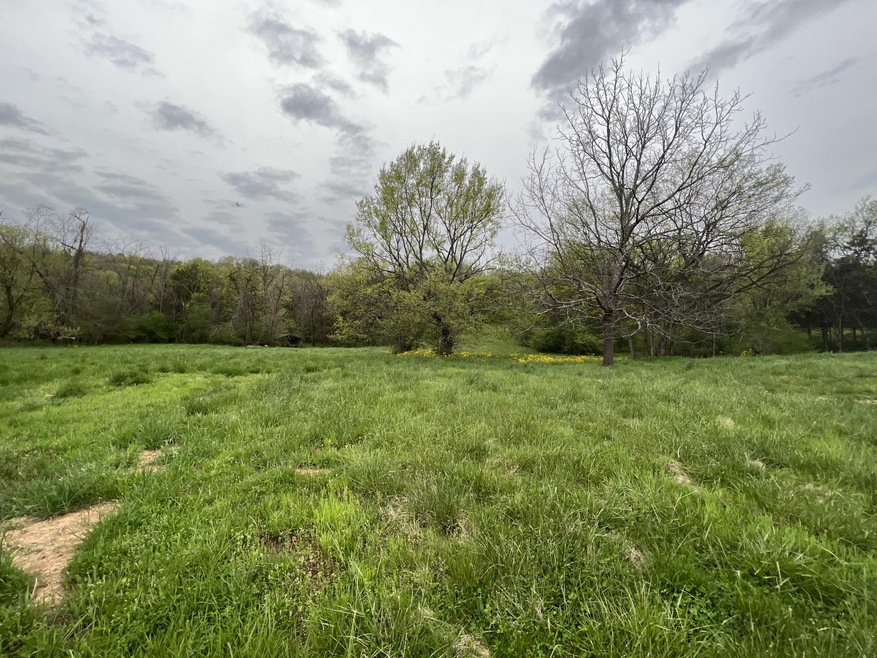 Collins Hollow Portion - nice level building spot!