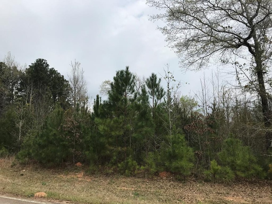 0 Chamberlain Ferry Rd unit 453329, Lincolnton, GA 30817 - photo 1