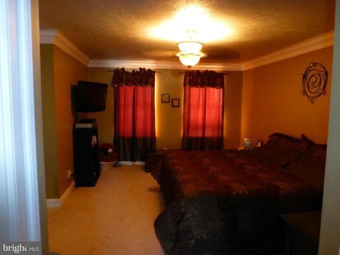 44 Barclay Ln, Stafford, VA 22554 - photo 1