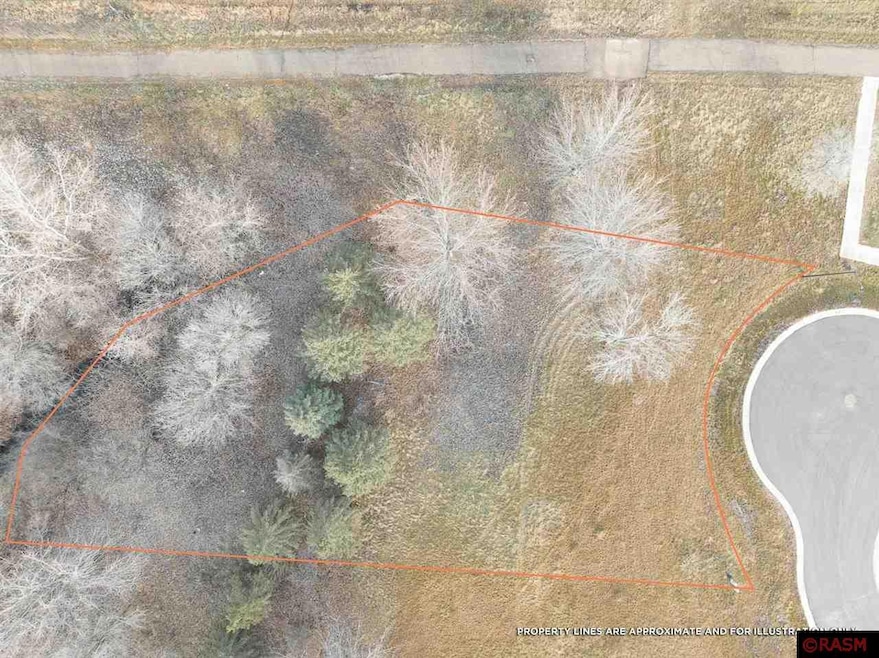 0 Butler Falls Rd, Mankato, MN 56001 - photo 1