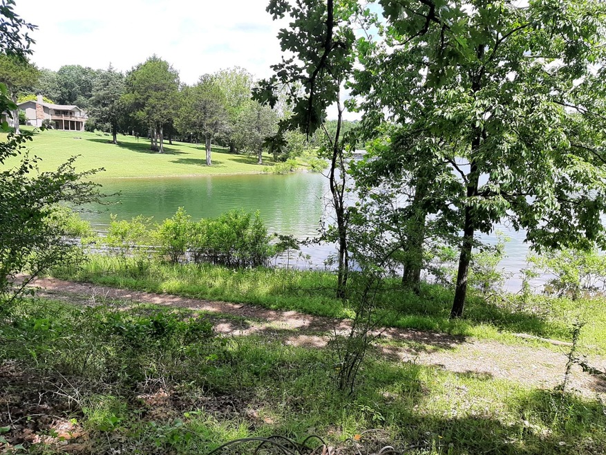 Lot 11 Silverbell Dr, Ruth B Rural Township, MO 65686 - photo 1