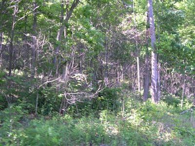 0 Haynes Knob Rd unit 3010935, Somerset, KY 42501 - photo 1