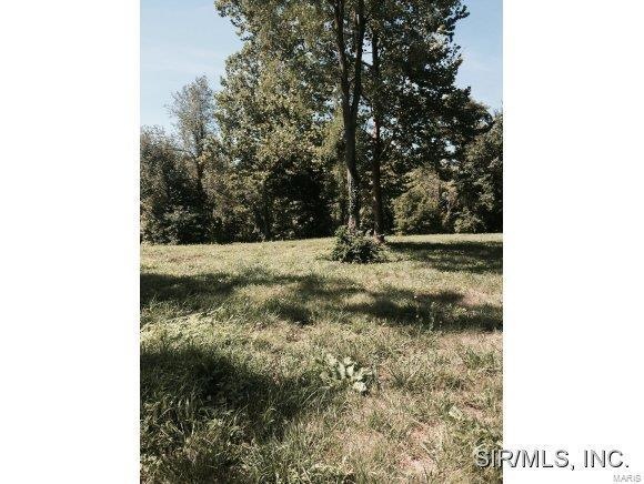 xxx S Mulberry Rd, Collinsville, IL 62234 - photo 1