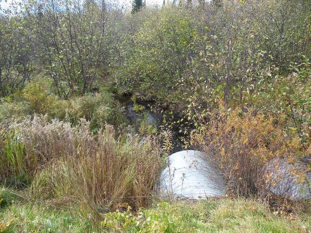 ON Cth T, Tripoli, WI 54564 - photo 1