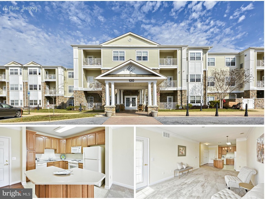 Mill Crossing unit 302, Frederick, MD 21702 - photo 1