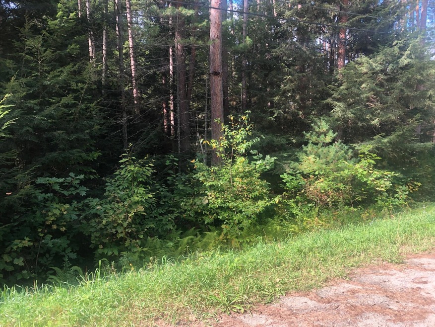 0 Mercy Strong Ln unit Lots 2157, Hartford, VT 05001 - photo 1