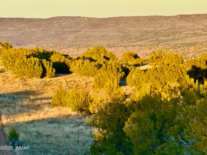 136 Zuni Dr, Concho, AZ 85924 - photo 1