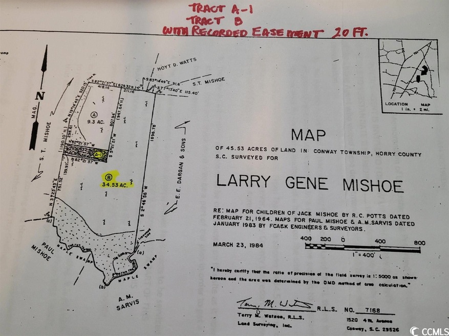 36.2 Acres Privetts Rd unit 36.20 Acres, W/20' R, Conway, SC 29526 - photo 1