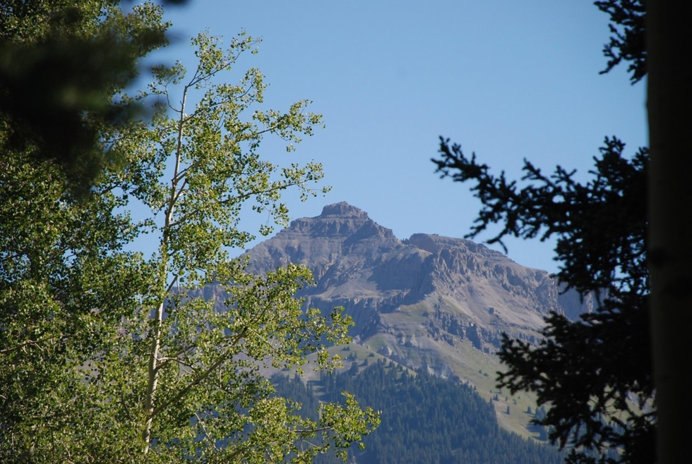 views through the trees