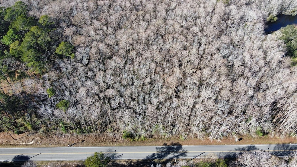 3143 S Island Rd, Georgetown, SC 29440 - photo 1