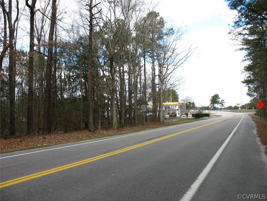 0000 S Crater Rd, North Dinwiddie, VA 23805 - photo 1