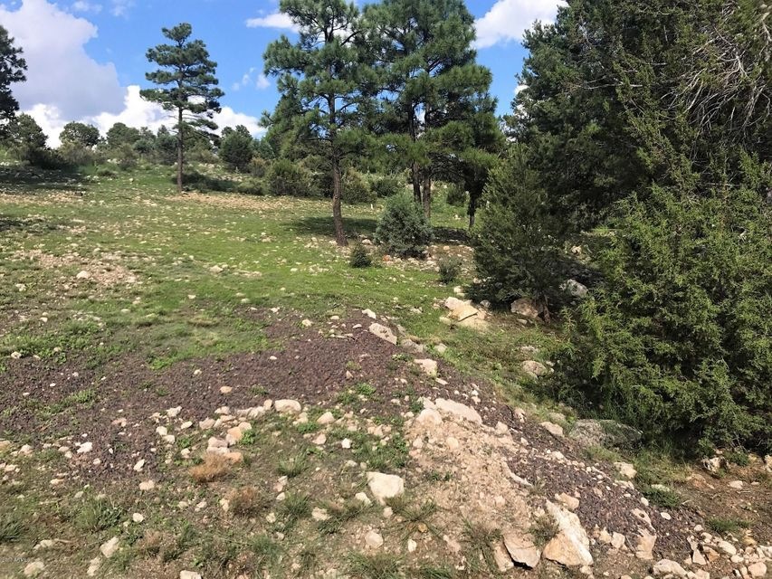 Mixed Vegetation