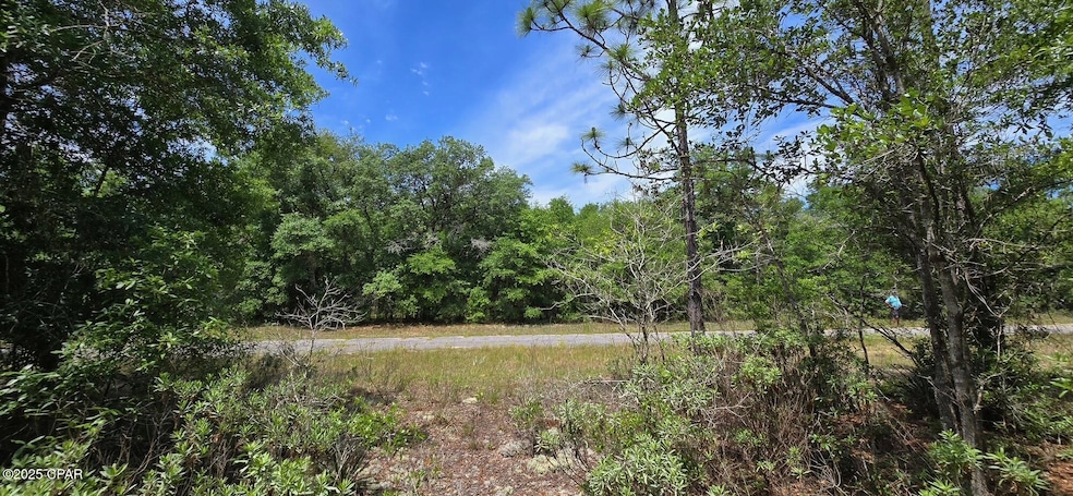 Lot 18 Fusion Cir, Chipley, FL 32428 - photo 1