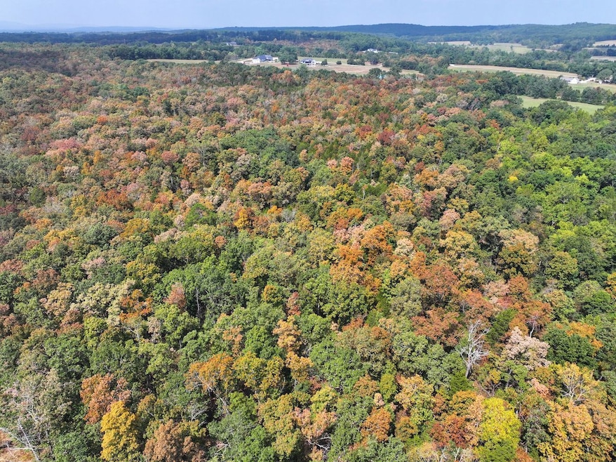 Off Hwy Dd unit Lot WP001, Farmington, MO 63640 - photo 1