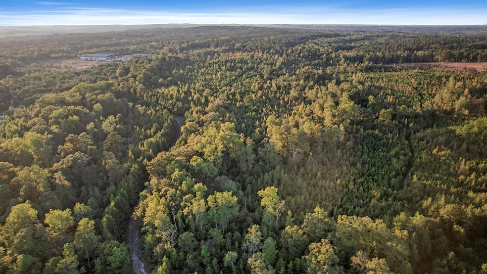 unlisted-address, Fort Gaines, GA 39851 - photo 1