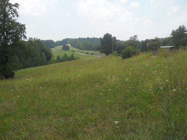 38 Acres +/- Mountain Views