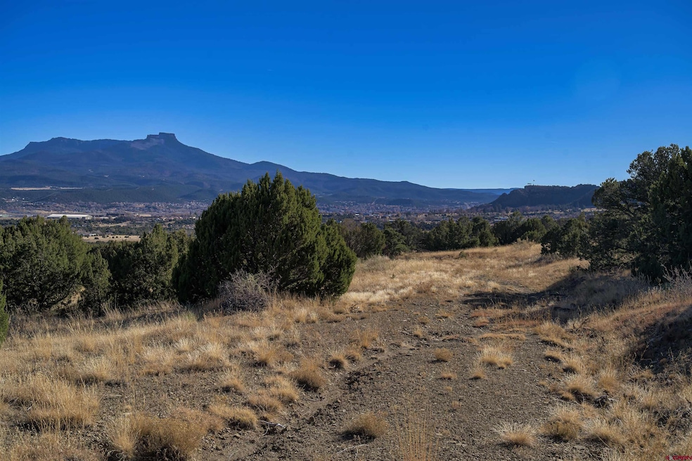 15311 Rancho Verde Rd, Trinidad, CO 81082 - photo 1