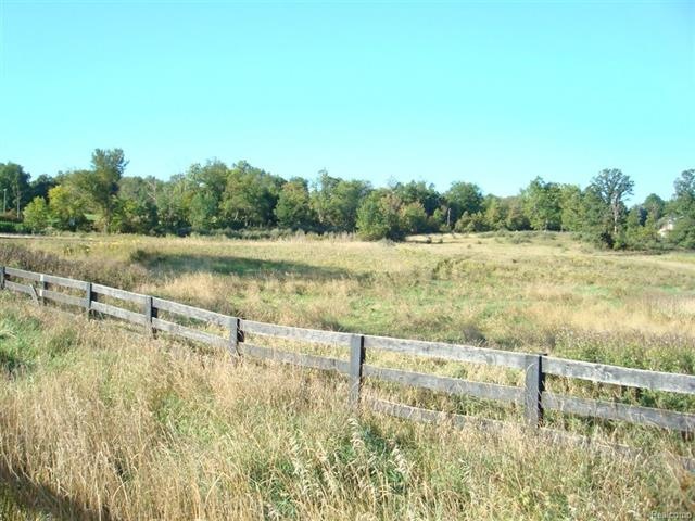 Vacant Casey 23 acres 002.jpg