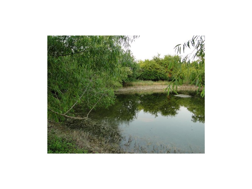 23005 S Victory Rd, Spring Hill, KS 66083 - photo 1