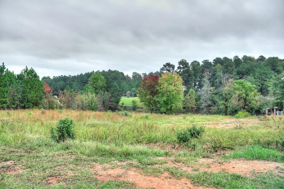 624 Emerald Crossing, Evans, GA 30809 - photo 1