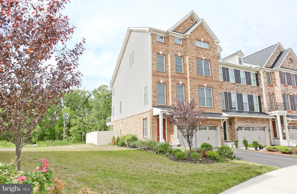 25049 Cambridge Hill Terrace, Chantilly, VA 20152 - photo 1