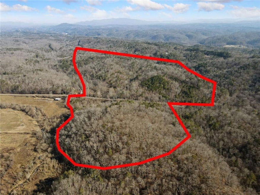 Bird's eye view featuring a mountain view