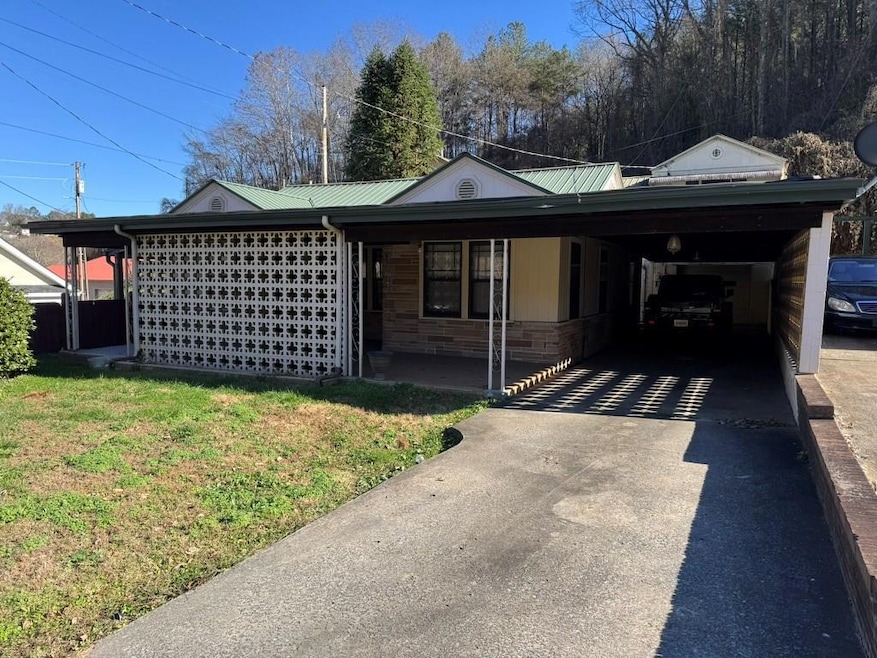 245 Blue Ridge Dr, McCaysville, GA 30555 - photo 1