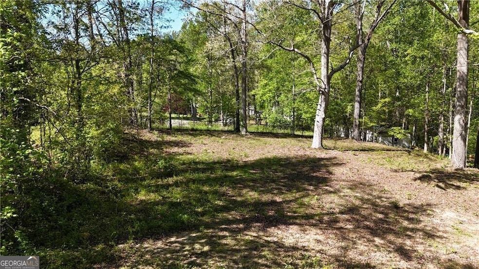 4380 Navajo Ln, Acworth, GA 30102 - photo 1