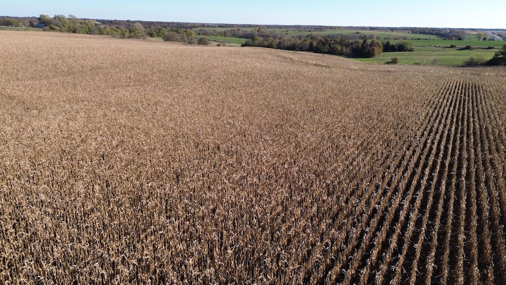 52 Scarlet Ave, Bloomfield, IA 52537 - photo 1