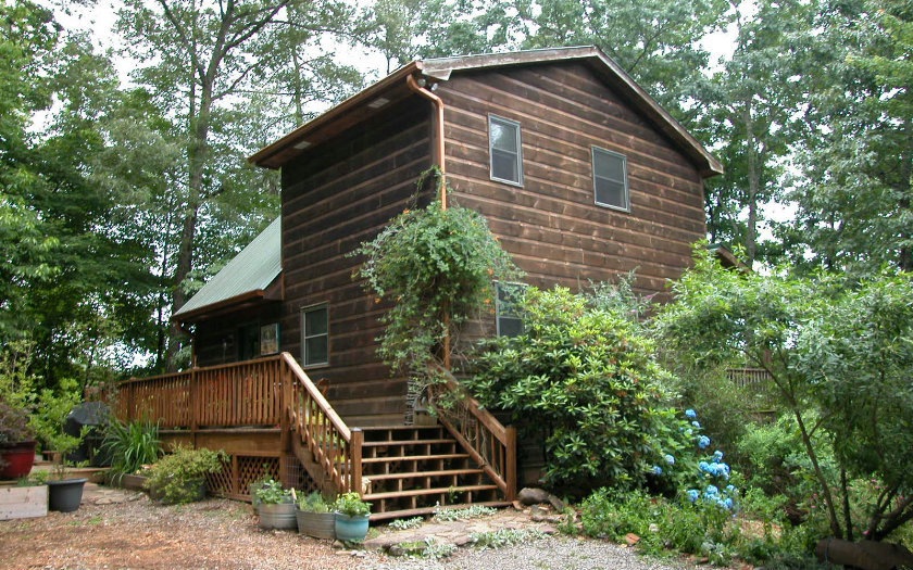 Main View