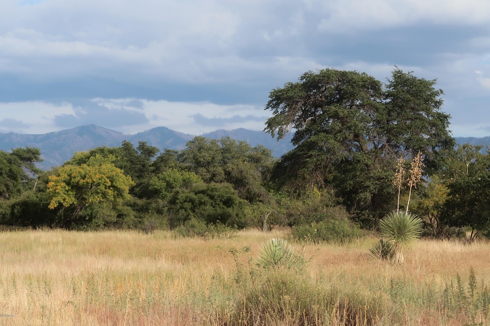 Looking east to Chiricahuas