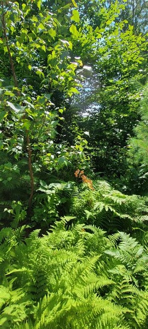 00 Earls Rd unit Lot A, South Berwick, ME 03908 - photo 1