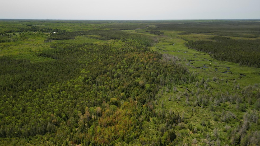 DJI_0748