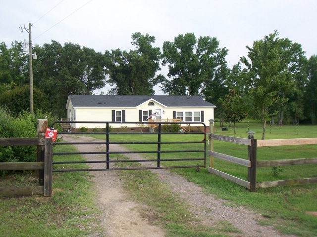 Main View