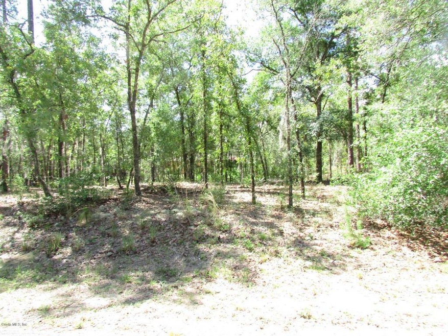 000 SW 185th Avenue Rd, Dunnellon, FL 34432 - photo 1