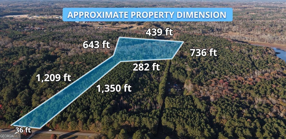 LOT #1 S Hampton Annex, Hampton, GA 30228 - photo 1