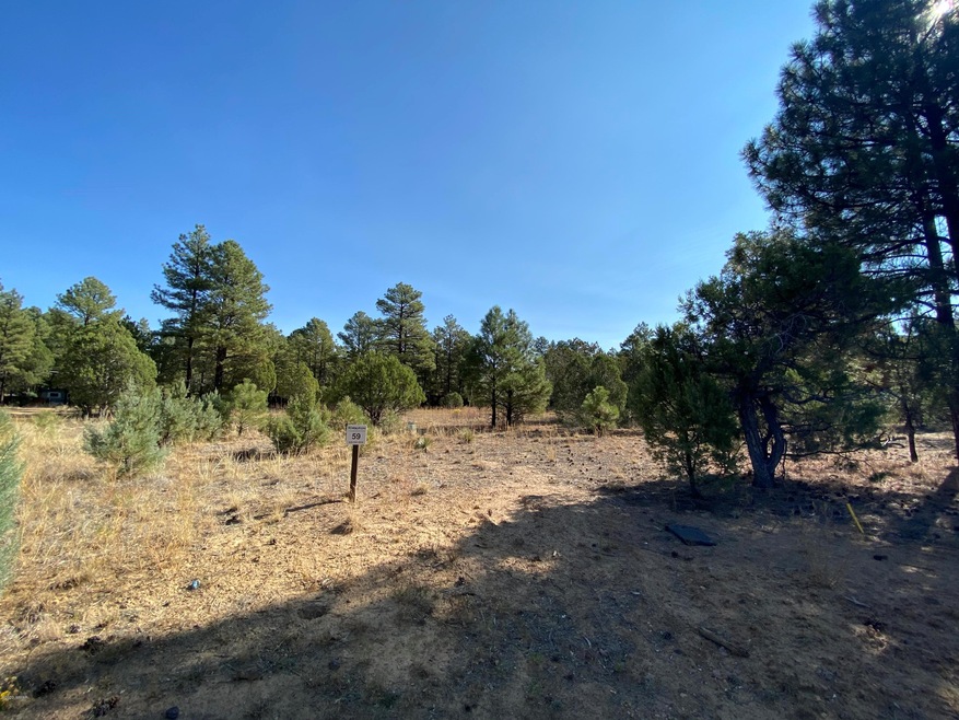 4610 W Hawthorn Rd, Show Low, AZ 85901 - photo 1