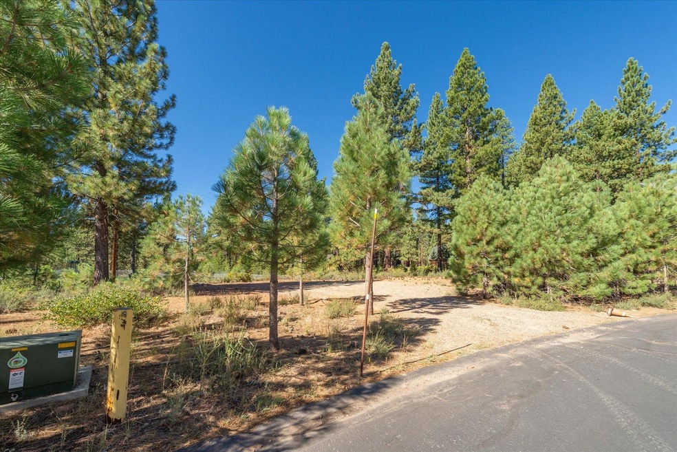 11308 Wolverine Cir, Truckee, CA 96161 - photo 1