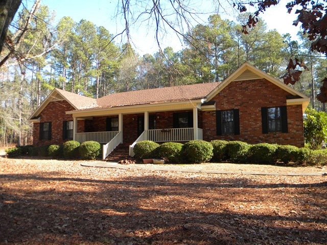 Main View