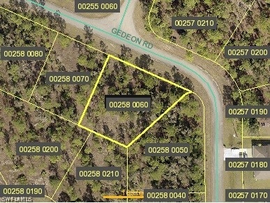 832 Gedeon Rd, Lehigh Acres, FL 33974 - photo 1