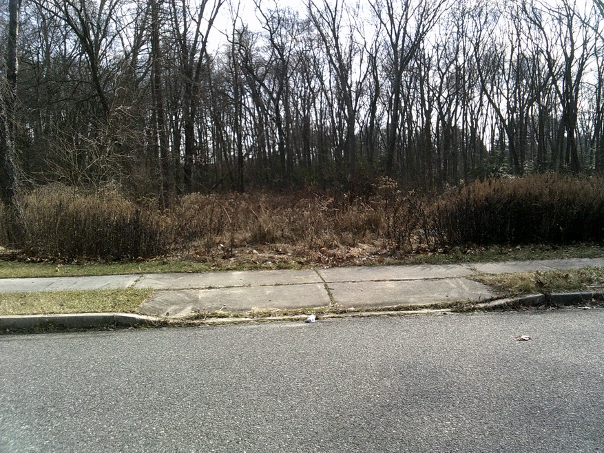 Cranberry Ct (6)