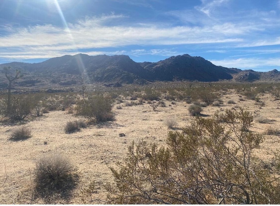 60676 Campanula St, Joshua Tree, CA 92252 - photo 1