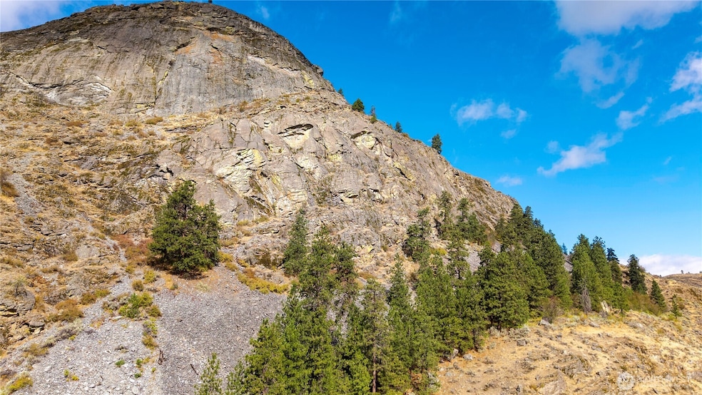 0 Tbd Pharr Out - 8 Way, Omak, WA 98841 - photo 1