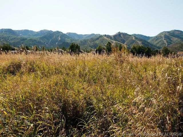 Land/Lot.