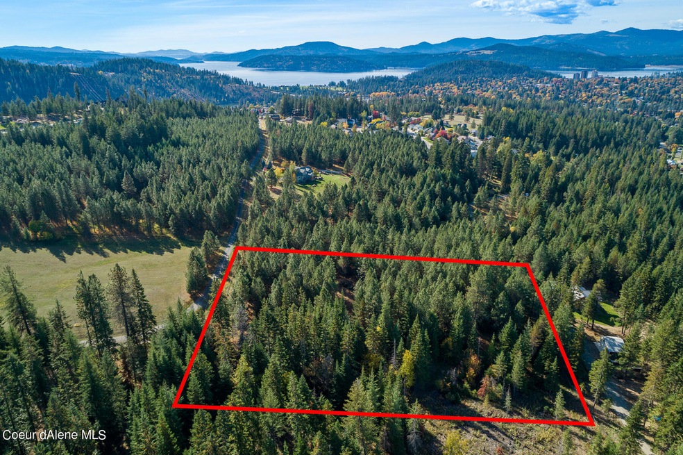 Aerial_FrostyPine-1_Outlined