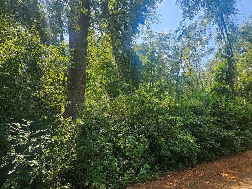 0 Twin Oaks Rd unit 144769, Ray City, GA - photo 1