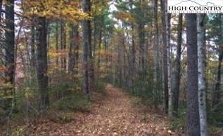 56 Ridge Rd, Ferguson, NC 28624 - photo 1