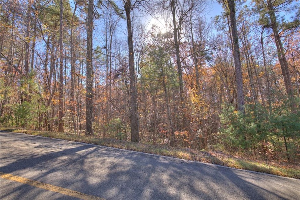 View of asphalt road featuring a wooded view